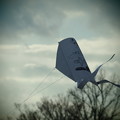 写真: 手作り凧に願いを込めて