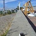 写真: 震災　橋桁2