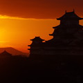 写真: 姫路城-夜明け-