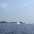 写真: 漁船（別府湾）_3788