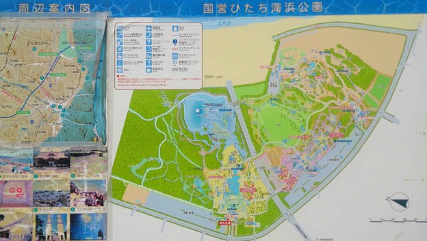 ひたち海浜公園地図