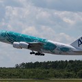 写真: ANA A380     JA382A