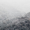 写真: 雪景色