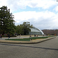 写真: 京都植物園