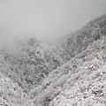 写真: 雪山1
