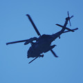 写真: UH-60Jその2