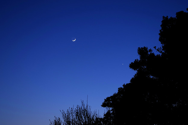 写真: 月と宵の明星