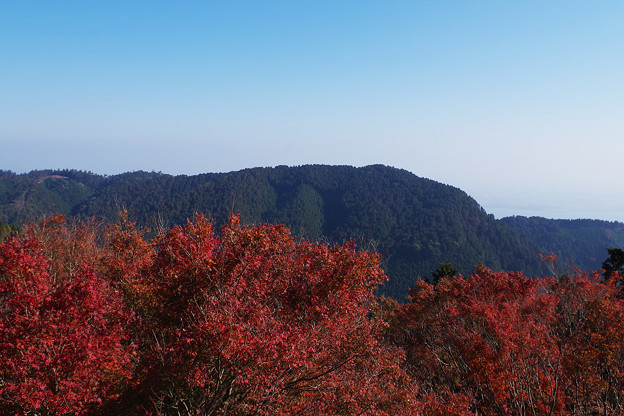 写真: 比叡山紅葉