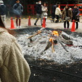 写真: 焚き火 下鴨神社