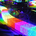 虹の回廊
