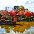 写真: 桜山公園の日本庭園