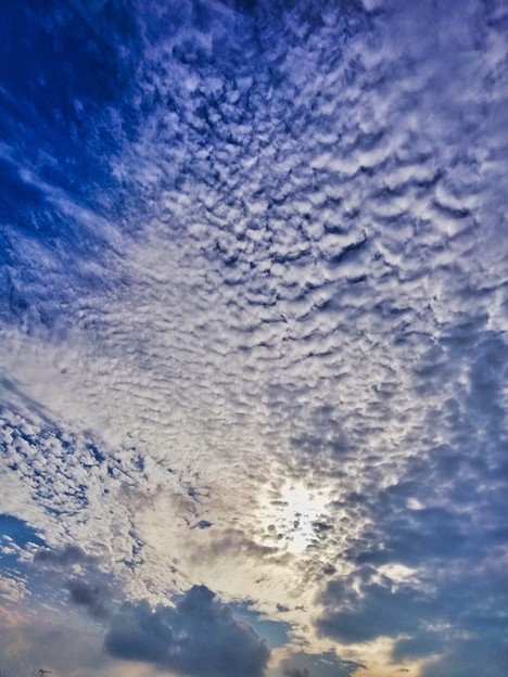 写真: 鱗雲