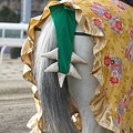写真: 川崎競馬の誘導馬０１月開催　龍Ｖｅｒ-120103-09-large