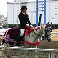写真: 川崎競馬の誘導馬０１月開催　椿Ｖｅｒ-120124-03-large