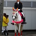 写真: 川崎競馬の誘導馬０１月開催　椿2Ｖｅｒ-120124-02-large