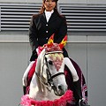 写真: 川崎競馬の誘導馬０１月開催　椿2Ｖｅｒ-120124-03-large