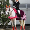 写真: 川崎競馬の誘導馬０１月開催　椿2Ｖｅｒ-120124-04-large