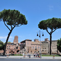 写真: イタリア ローマの街並みと笠松