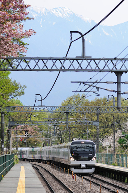 写真: 山桜が咲く長坂駅を通過するE257系特急あずさ号