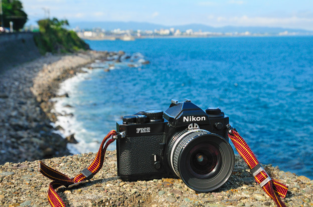 フィルムカメラと海