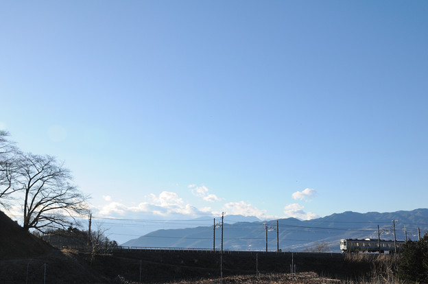 写真: 冬枯れの甚六桜のもとを行く211系普通電車