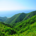 写真: 弥彦山頂からの眺め