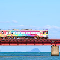 写真: 鮮やかな列車