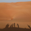 写真: 砂漠