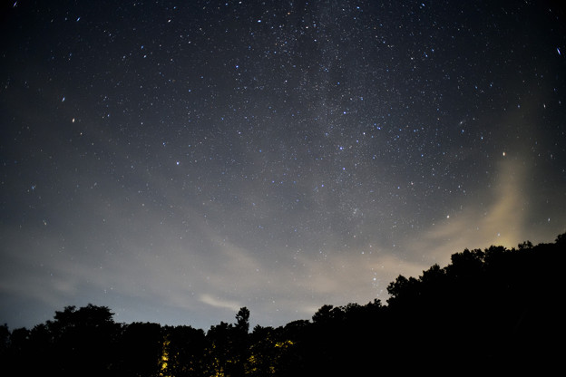 写真: 漆黒の森を照らす星座たち