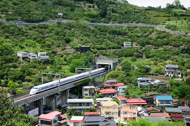 Photos: みかん山を行く300系新幹線