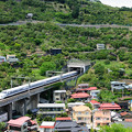 Photos: みかん山を行く300系新幹線