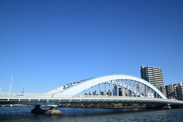写真: 永代橋とスカイツリー