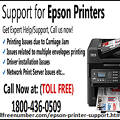 Epson printer customer care