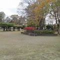 写真: 中央児童公園(坂東市)
