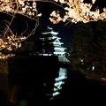 写真: お堀に映る城と桜
