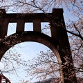 写真: 周辺が桜で覆われた旧コンクリートアーチ