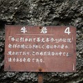 (4)牛岩