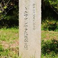 「静岡県天然記念物・トキワマンサク北限群生地」石碑