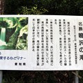 写真: 名勝・鳴沢の滝解説