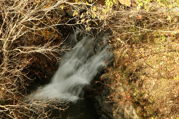写真: 板敷渓谷「小滝」