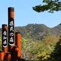 「愛知県民の森」柱