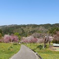花の丘公園散策路
