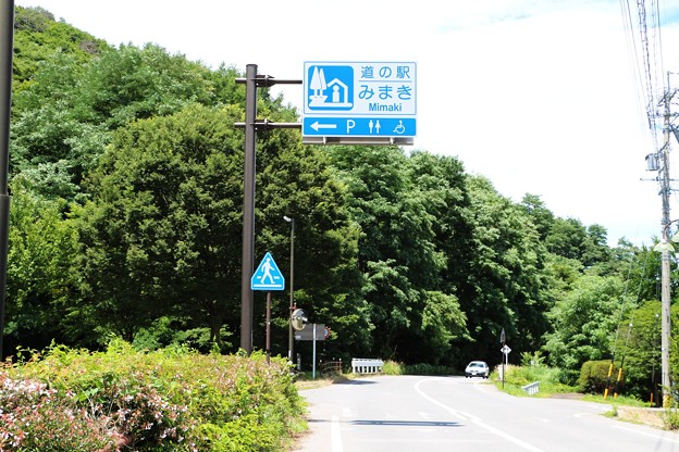 写真: 長野県道４０号線(諏訪白樺湖小諸線)沿い