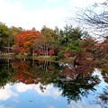 写真: 紅葉の駒出池水鏡