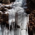 写真: 岸壁から氷柱が垂れ下がる