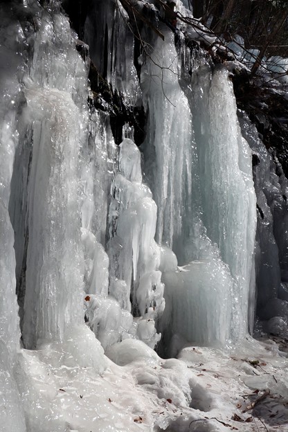 写真: 冬の寒さが生み出す自然の造形美