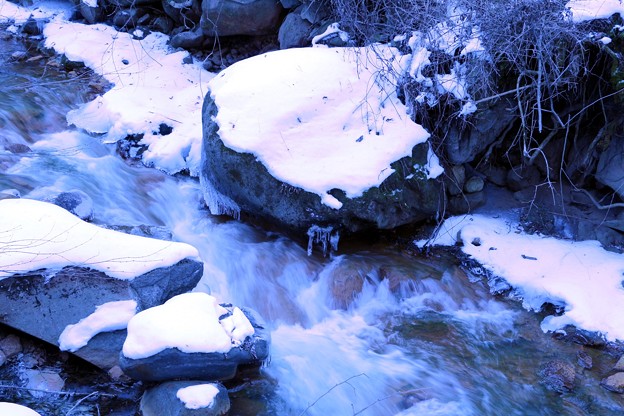 写真: 冠雪の渋川