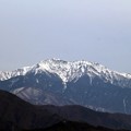 写真: 南アルプス仙丈岳