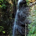 桐谷の不動滝
