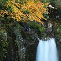 写真: 鳴沢の滝・滝落ち口